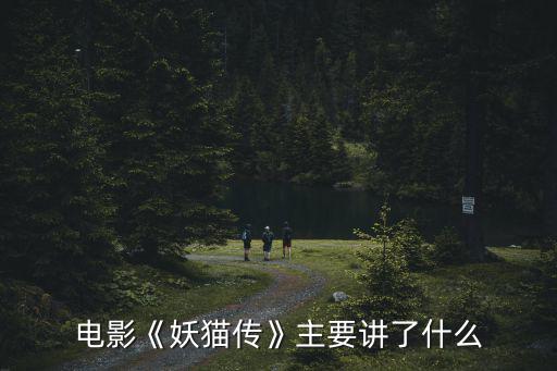 妖貓傳影評,《妖貓傳》獲第28屆金雞百花電影節最佳美術獎