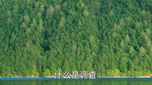 一什么調查,人口普查是怎么一回事?