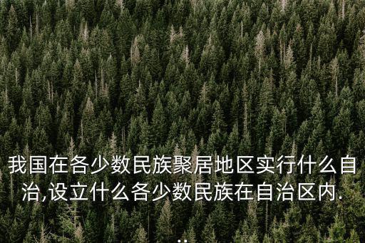 變通執(zhí)行權(quán),我國民族自治權(quán)除了語言文字使用權(quán)還有哪些權(quán)利?