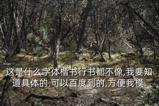 這是什么字體楷書行書都不像,我要知道具體的,可以百度到的,方便我模...