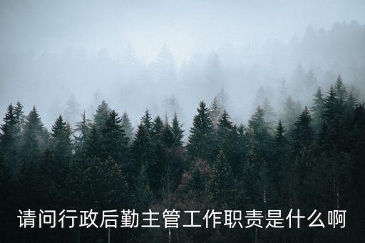 請(qǐng)問(wèn)行政后勤主管工作職責(zé)是什么啊