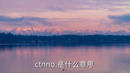 ctnno.是什么意思