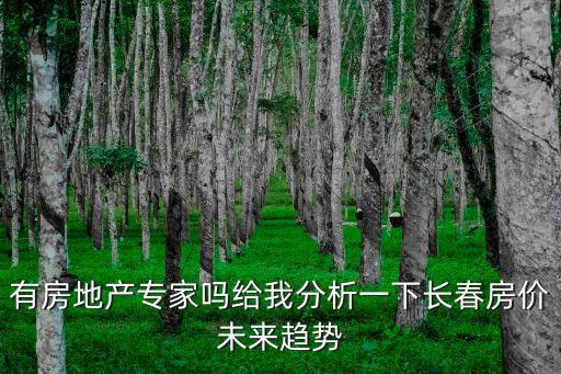 有房地產專家嗎給我分析一下長春房價未來趨勢