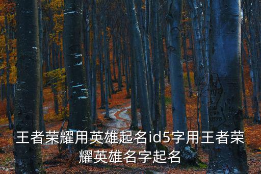 王者榮耀用英雄起名id5字用王者榮耀英雄名字起名