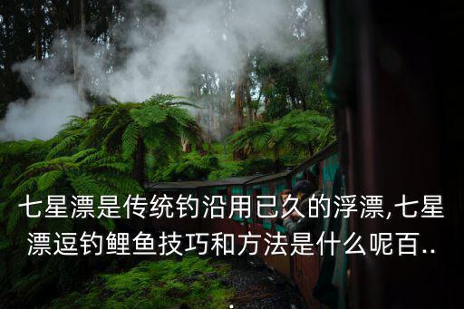 七星漂是傳統(tǒng)釣沿用已久的浮漂,七星漂逗釣鯉魚技巧和方法是什么呢百...