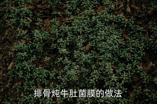 牛肚菌的做法,排骨燉牛肚菌膜做法