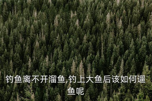 釣魚離不開溜魚,釣上大魚后該如何遛魚呢