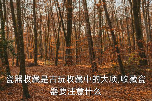 瓷片收藏,瓷器收藏注意事項(xiàng)