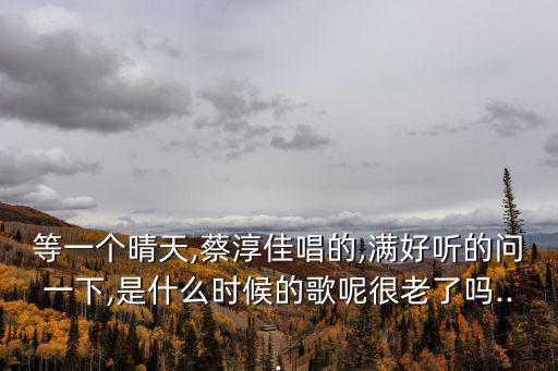 等一個晴天,《等一個晴天》蔡淳佳翻唱歌曲
