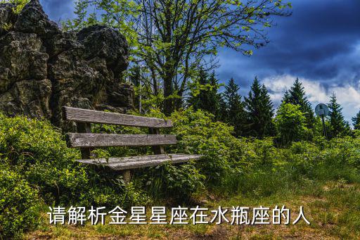 請解析金星星座在水瓶座的人