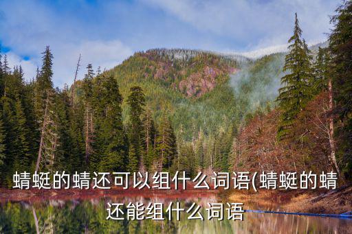 蜻蜓的蜻還可以組什么詞語(蜻蜓的蜻還能組什么詞語