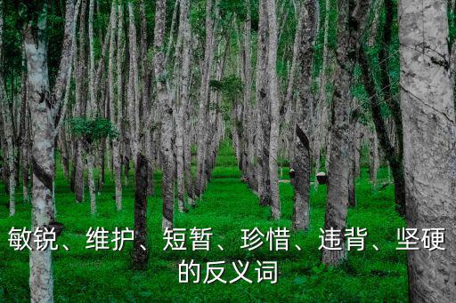 敏銳、維護、短暫、珍惜、違背、堅硬的反義詞