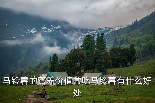 馬鈴薯的營(yíng)養(yǎng)價(jià)值,馬鈴薯營(yíng)養(yǎng)價(jià)值高吃了好處多