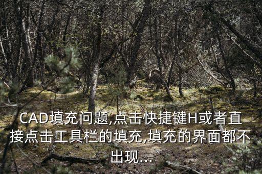 cad填充快捷鍵,設置錯誤造成cad填充界面無法顯示