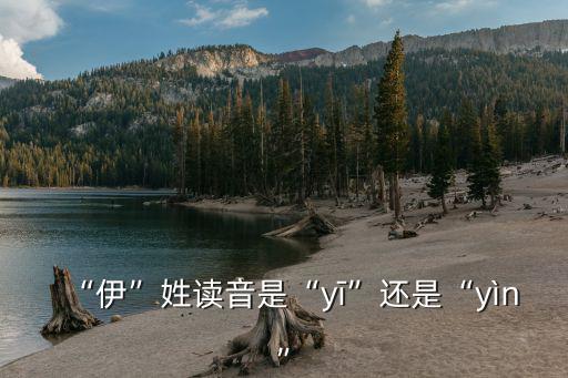 伊尹怎么讀,伊尹之女采桑伊川以地為姓伊字正確讀音