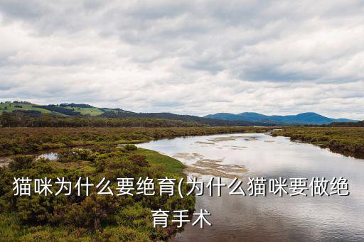 貓咪為什么要絕育(為什么貓咪要做絕育手術(shù)