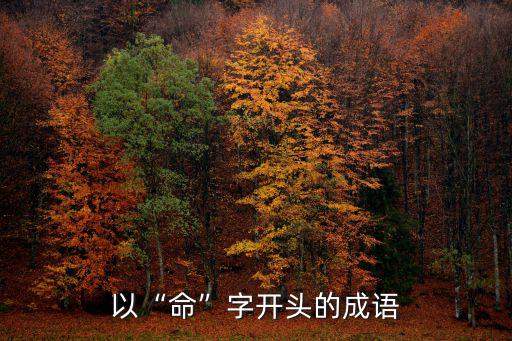 以“命”字開頭的成語