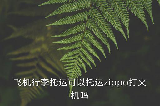 飛機行李托運可以托運zippo打火機嗎