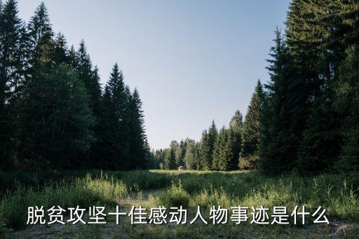 脫貧攻堅事跡,黃文仔的脫貧攻堅事跡是什么?