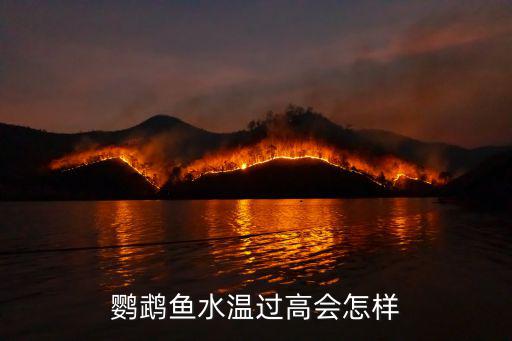 鸚鵡魚水溫,關(guān)于鸚鵡魚你必須知道的事