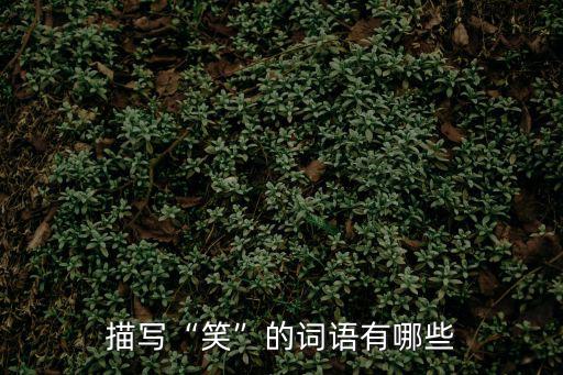 描寫“笑”的詞語有哪些
