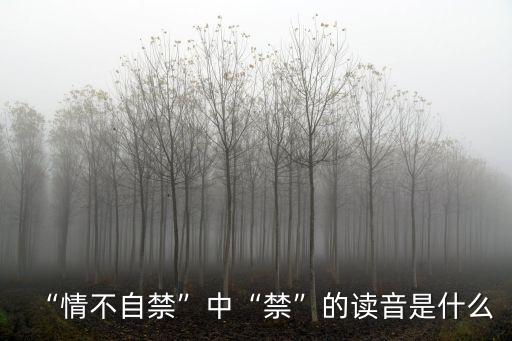 “情不自禁”中“禁”的讀音是什么