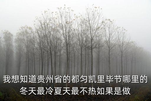 我想知道貴州省的都勻凱里畢節哪里的冬天最冷夏天最不熱如果是做