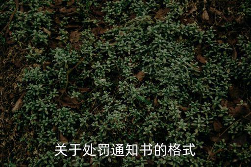 關于處罰通知書的格式