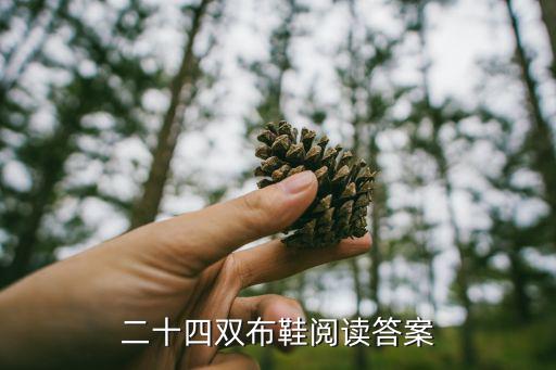 二十四雙布鞋閱讀答案