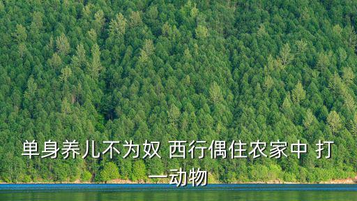 單身養(yǎng)兒不為奴 西行偶住農(nóng)家中 打一動物