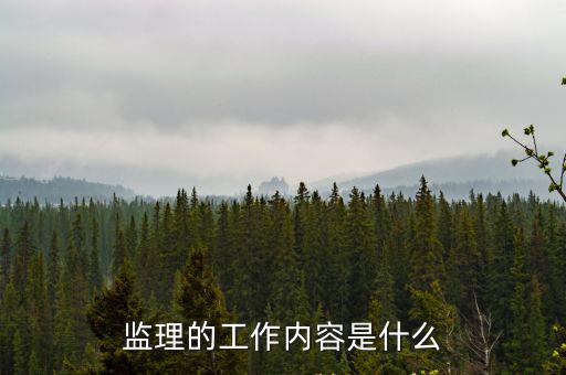 監理的工作內容是什么