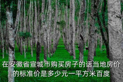 在安徽省宣城市購買房子的話當?shù)胤績r的標準價是多少元一平方米百度