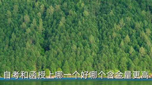 自考和函授上哪一個(gè)好哪個(gè)含金量更高
