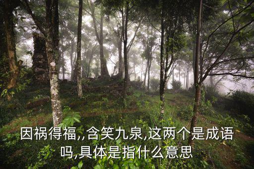 因禍得福,,含笑九泉,這兩個是成語嗎,具體是指什么意思