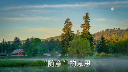 “隨意”的意思