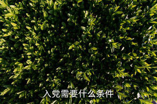 入黨需要什么條件
