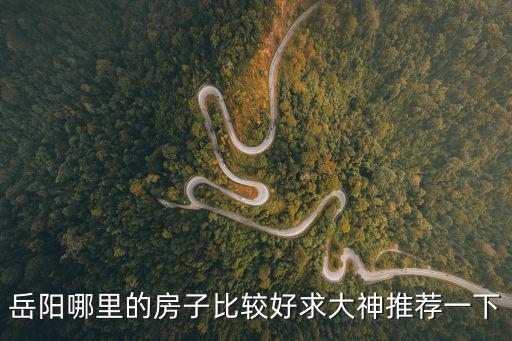 岳陽哪里的房子比較好求大神推薦一下