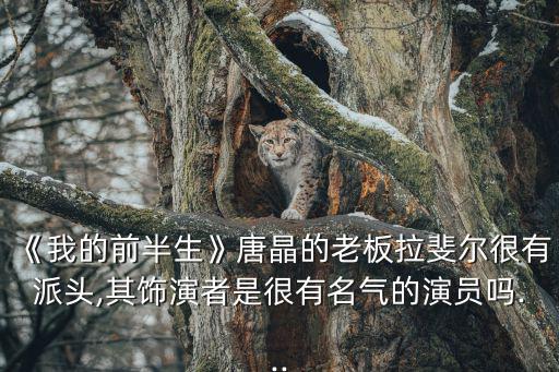 《我的前半生》唐晶的老板拉斐爾很有派頭,其飾演者是很有名氣的演員嗎...