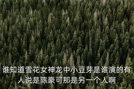 誰知道雪花女神龍中小豆芽是誰演的有人說是陳豪可那是另一個(gè)人啊