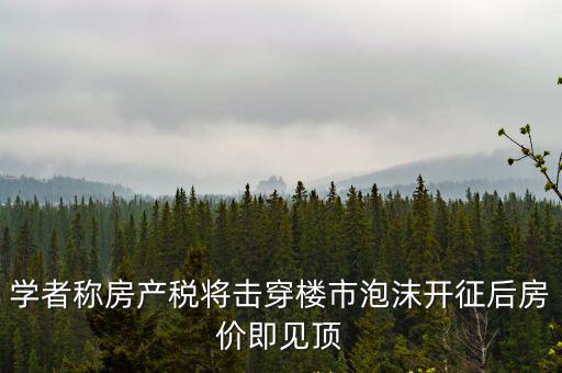 學者稱房產稅將擊穿樓市泡沫開征后房價即見頂