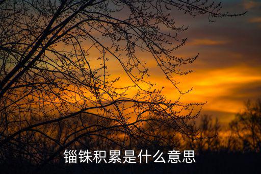 銖積寸累,銖積是什么意思?武漢出現什么病例?