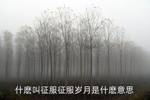 征服的意思,征服女人的意思有兩方面
