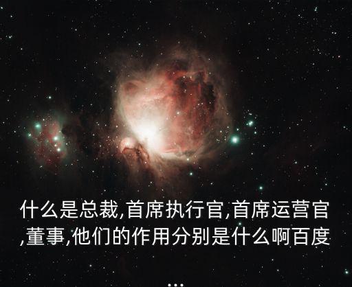 首席運營官,關于聯合首席運營官的回答