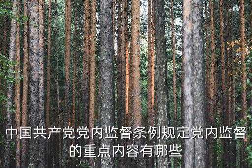 加強黨內監督,中共中央全體會議每年聽取中央政治局工作報告