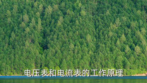 電壓表和電流表的工作原理