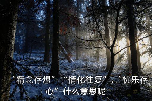 存想,存想是道教修煉方式