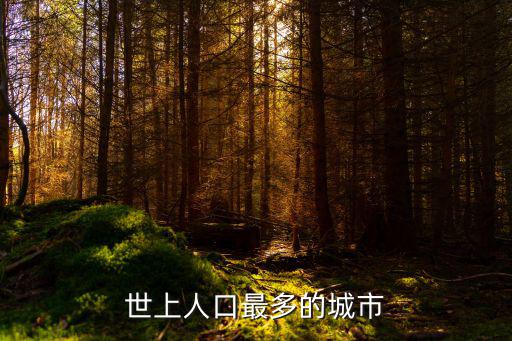 世界人口最多的城市,世界上人口最多城市東京人口超過38萬(wàn)