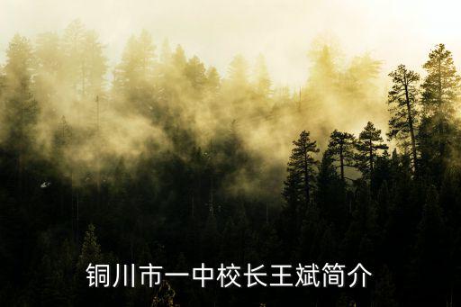 銅川市一中校長王斌簡介