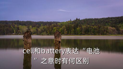battery電池,武漢解封第二批新人