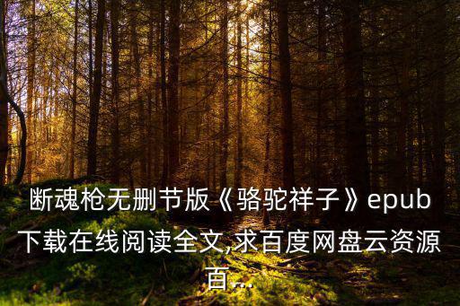 駱駝祥子在線閱讀,《斷魂槍》電子書下載免費在線閱讀全文